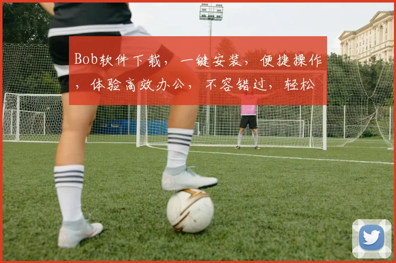 Bob软件下载，一键安装，便捷操作，体验高效办公，不容错过，轻松下载