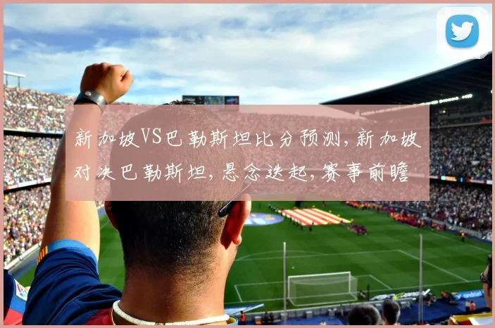 新加坡VS巴勒斯坦比分预测,新加坡对决巴勒斯坦,悬念迭起,赛事前瞻