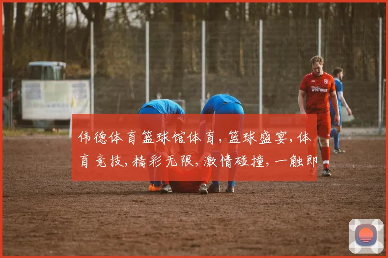 伟德体育篮球馆体育,篮球盛宴,体育竞技,精彩无限,激情碰撞,一触即发