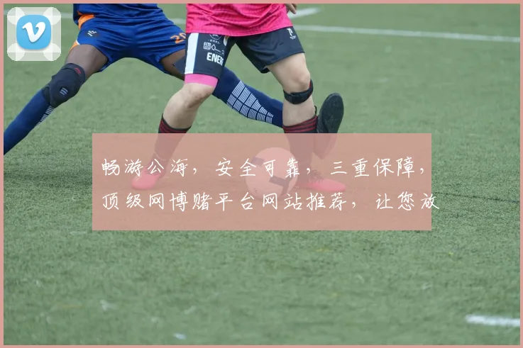 畅游公海，安全可靠，三重保障，顶级网博赌平台网站推荐，让您放心体验