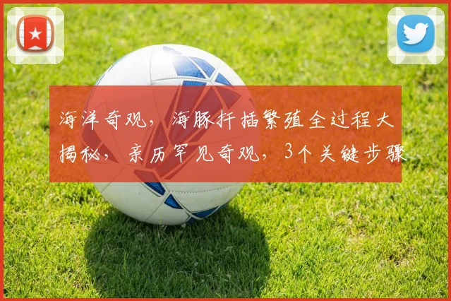 海洋奇观，海豚扦插繁殖全过程大揭秘，亲历罕见奇观，3个关键步骤，不容错过